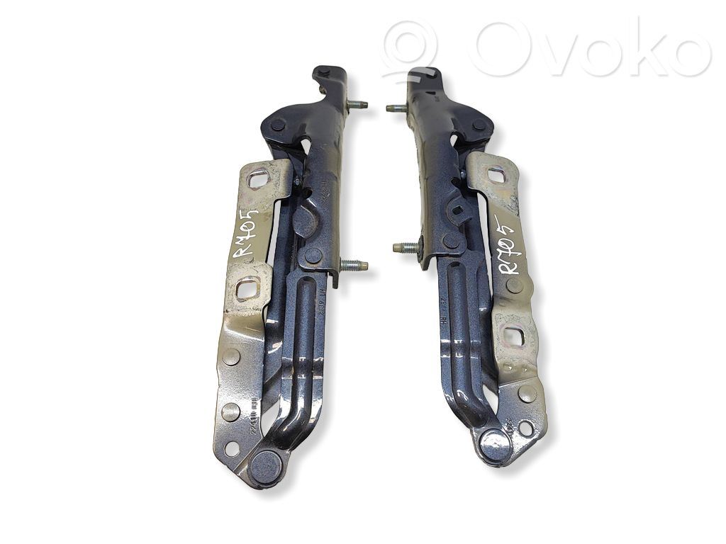 Tesla Model 3 Tailgate/trunk/boot hinge 