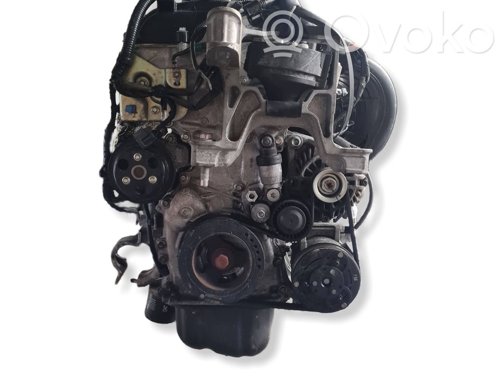 Engine   P501,20454142,P5,P520454142