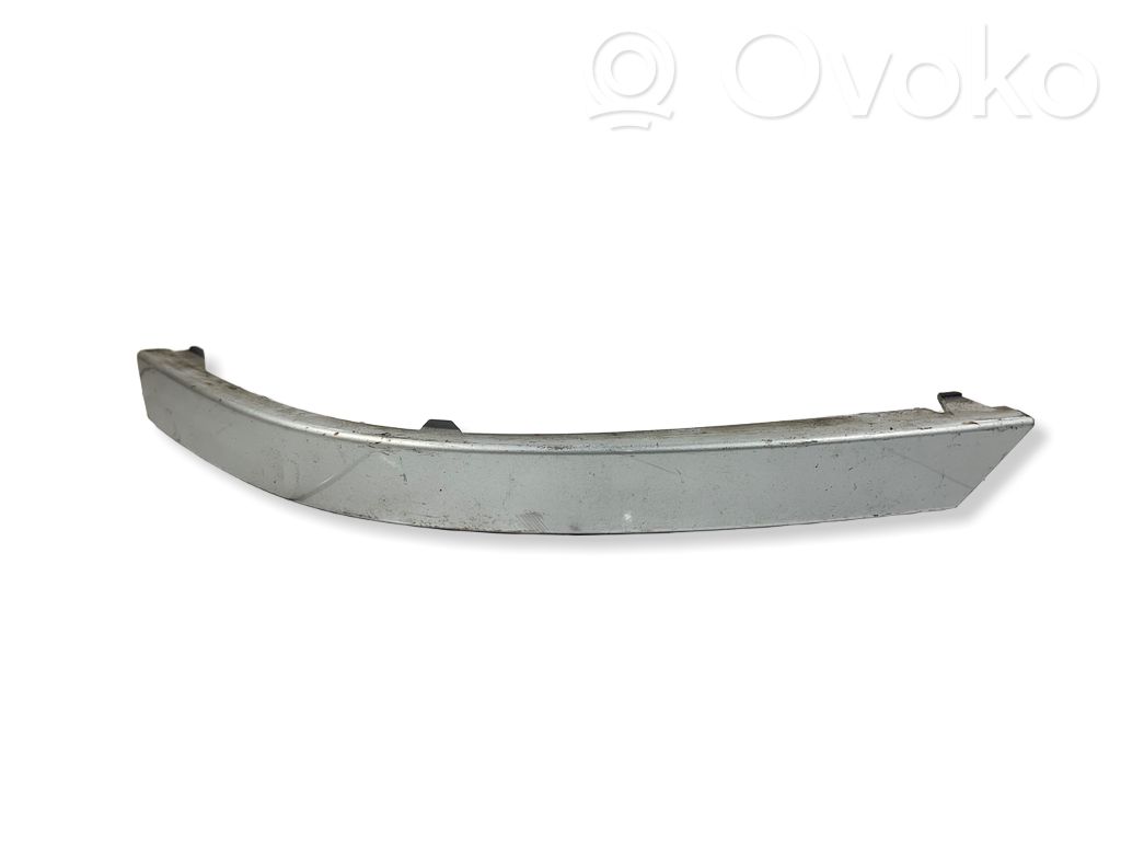 Rear/tail light trim molding   7155446,72758411