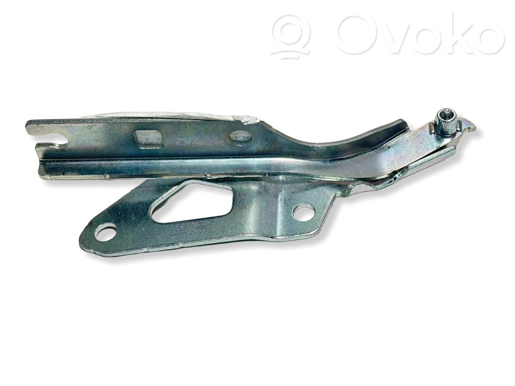 Volkswagen Tiguan Engine bonnet/hood hinges 