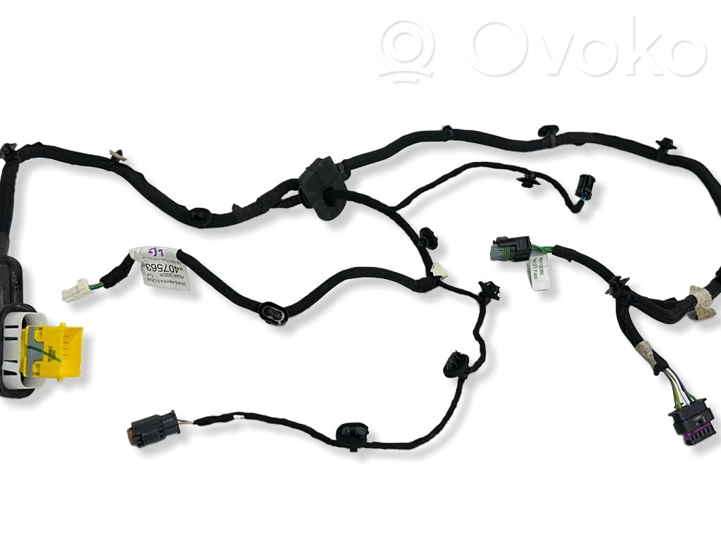 Citroen C4 III e-C4 Aizmugurējo durvju vadu instalācija 