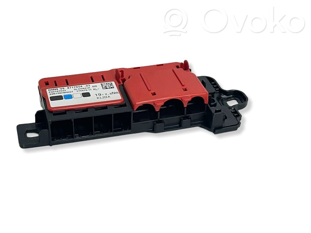 BMW i4 Positive wiring loom 
