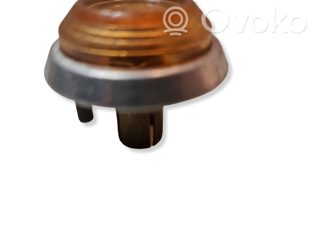 VAZ 2101 Seitenblinker 