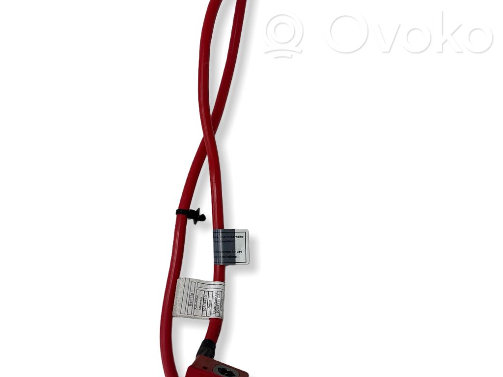 BMW 1 F20 F21 Pliusinis laidas (akumuliatoriaus) 