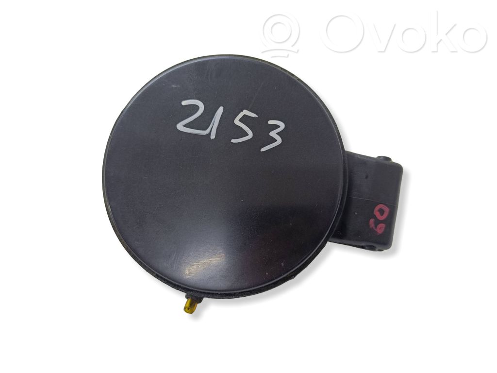 Fuel tank cap   8Z0809905