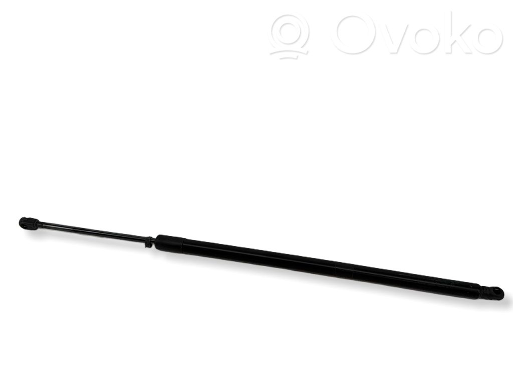 Chrysler Pacifica Tailgate/trunk strut/damper 