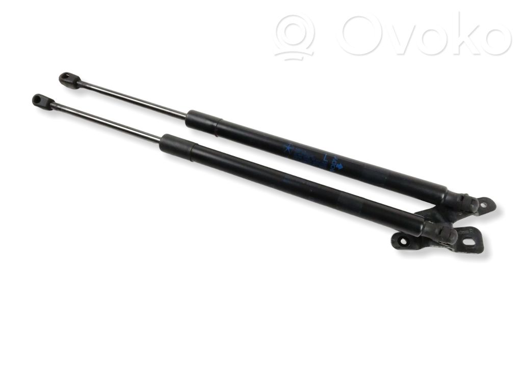 Jeep Compass Tailgate/trunk strut/damper 