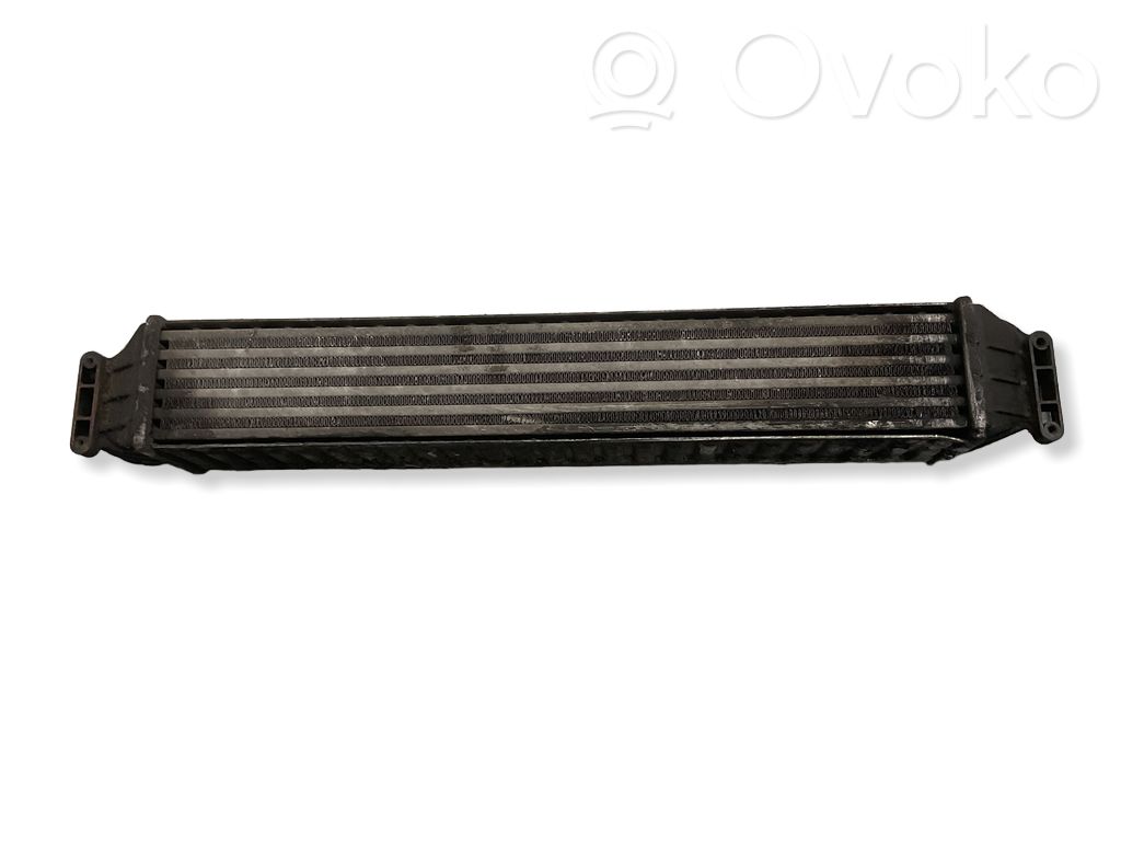 Seat Alhambra (Mk1) Interkūlerio radiatorius 