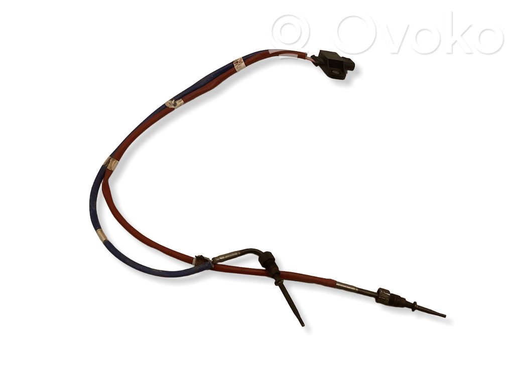 Nissan Qashqai Išmetamųjų dujų temperatūros daviklis 
