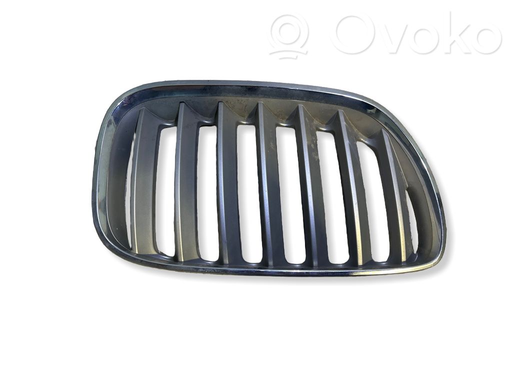 Front grill   51137113738