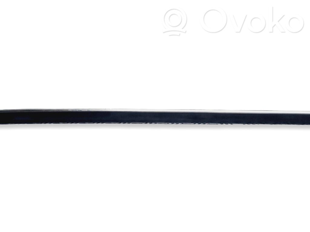 BMW 5 E39 Rivestimento della portiera anteriore (modanatura) 