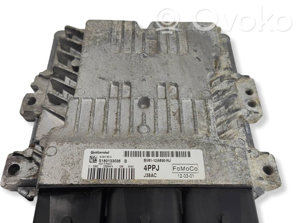 Ford Focus Engine control unit/module 