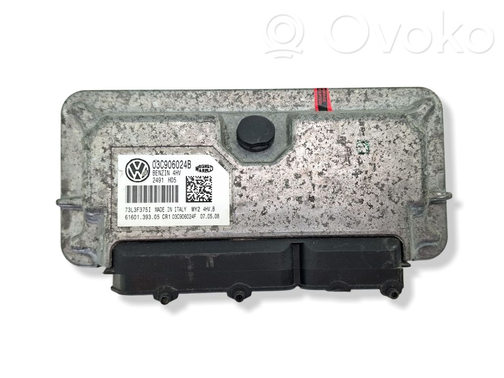Volkswagen Polo IV 9N3 Engine control unit/module 