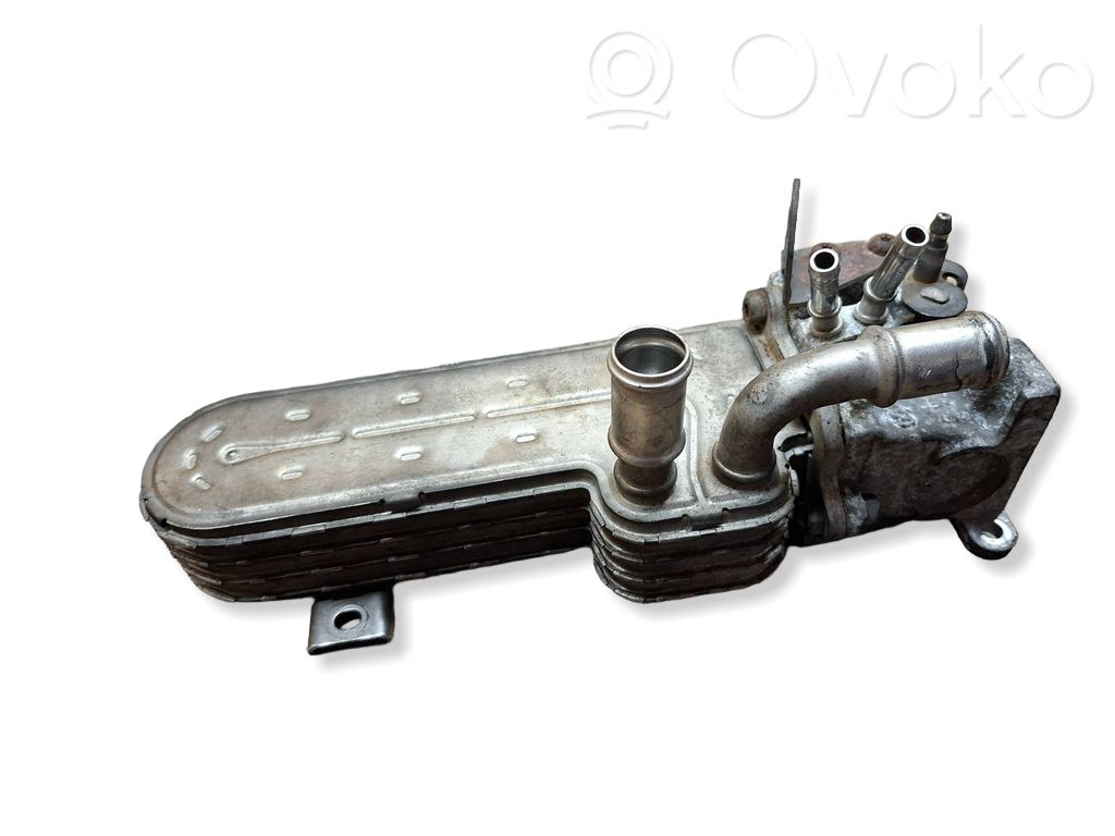 Volkswagen Golf V Chłodnica spalin EGR 