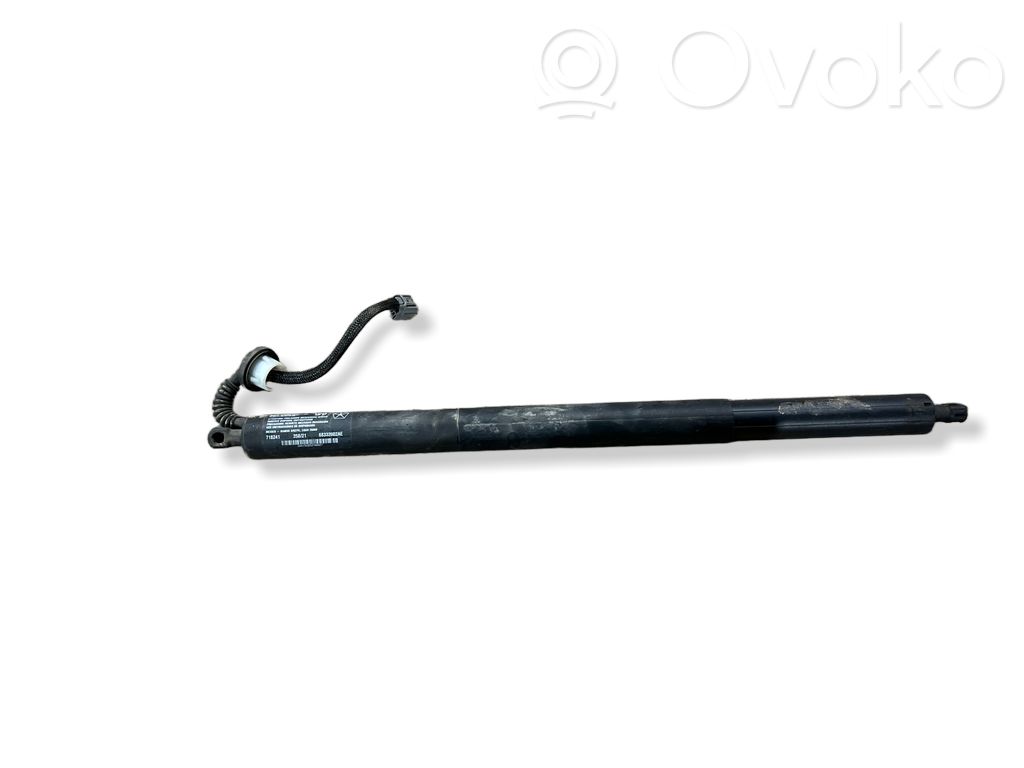 Dodge Durango III Tailgate/trunk strut/damper 