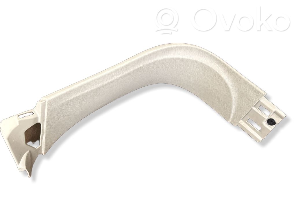Chrysler Pacifica Tailgate trim 