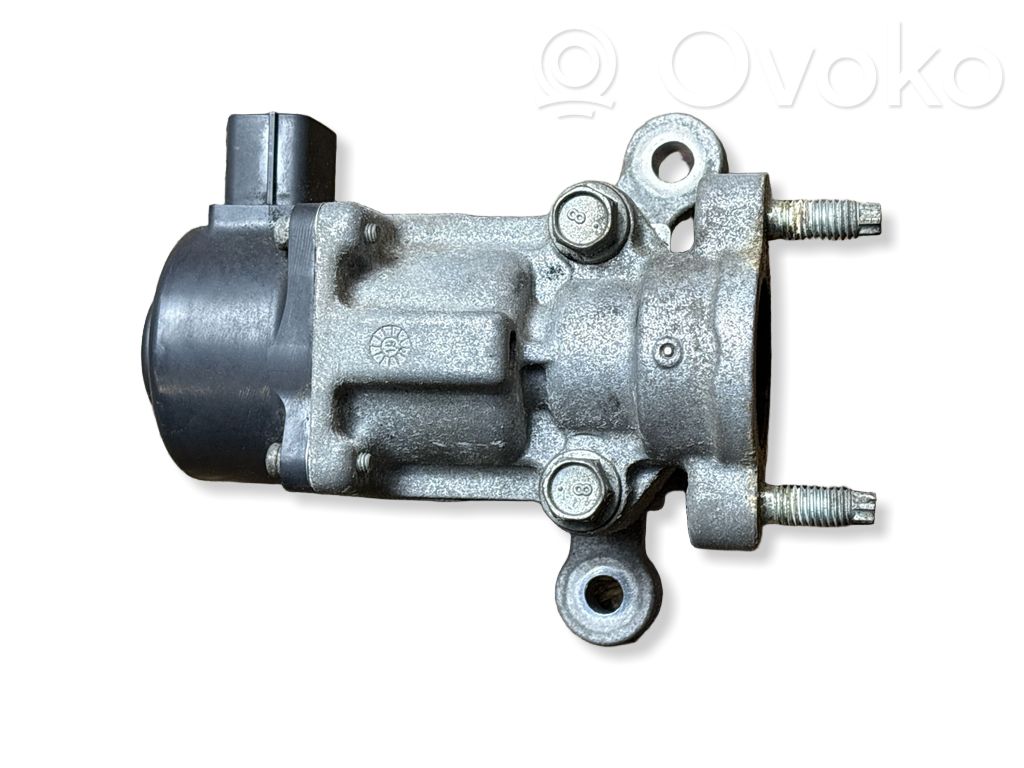 Válvula EGR   79773