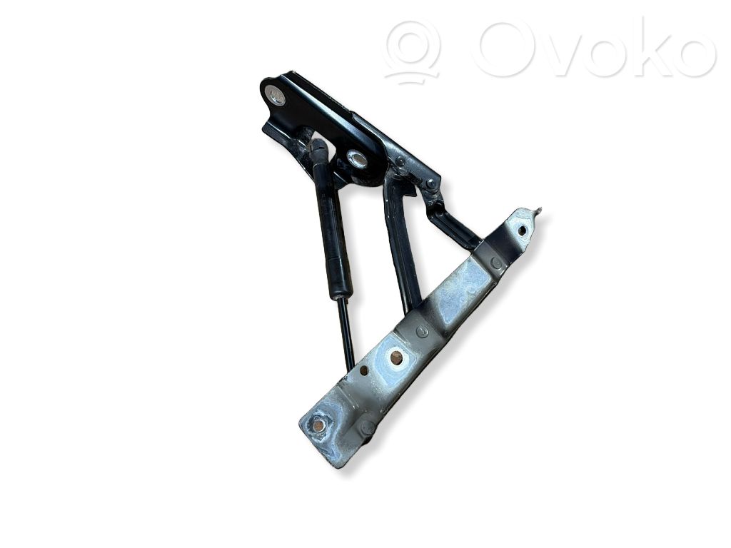 Dodge Challenger Tailgate/trunk/boot hinge 