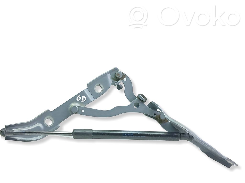 Tailgate/trunk/boot hinge   7166752