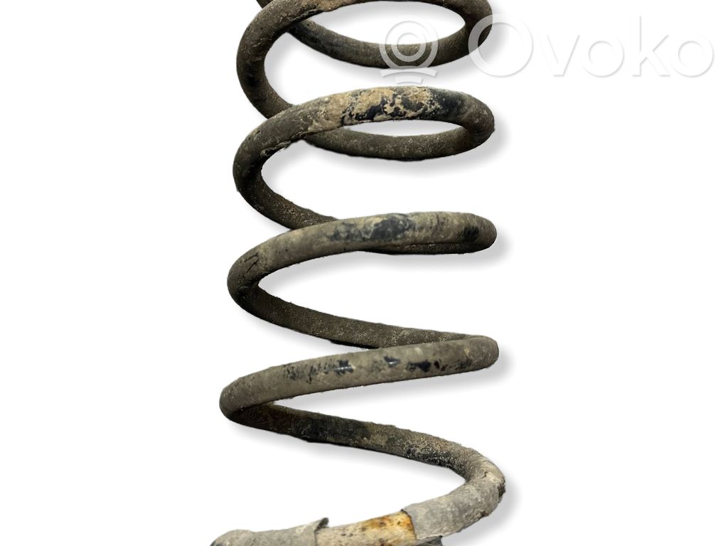 Rear coil spring