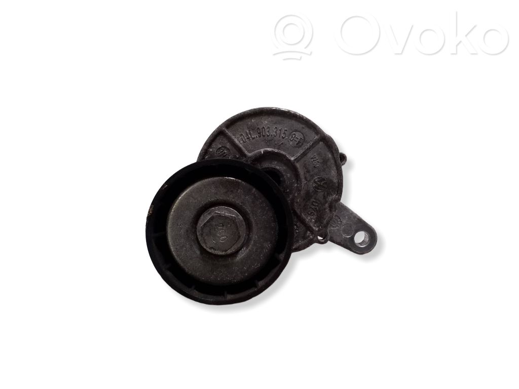 Audi Q3 8U Diržo įtempėjas 