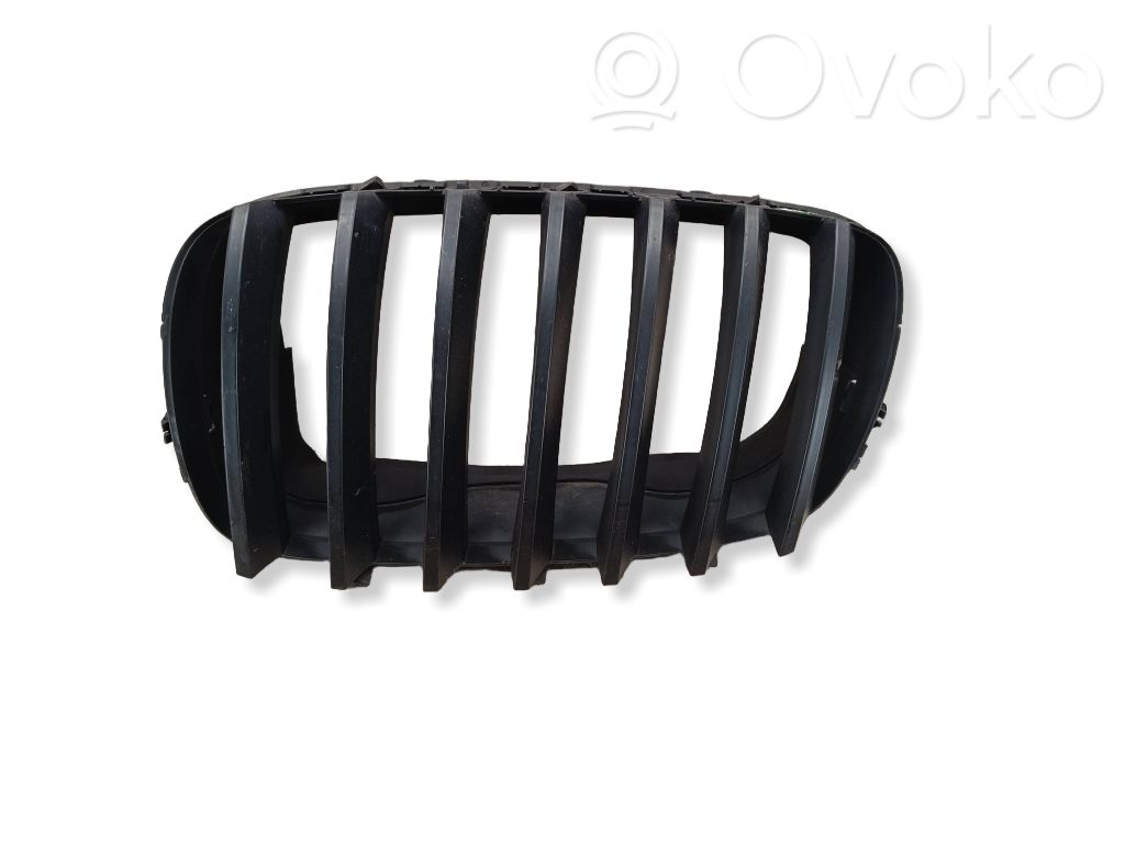 BMW X5 E70 Front grill 