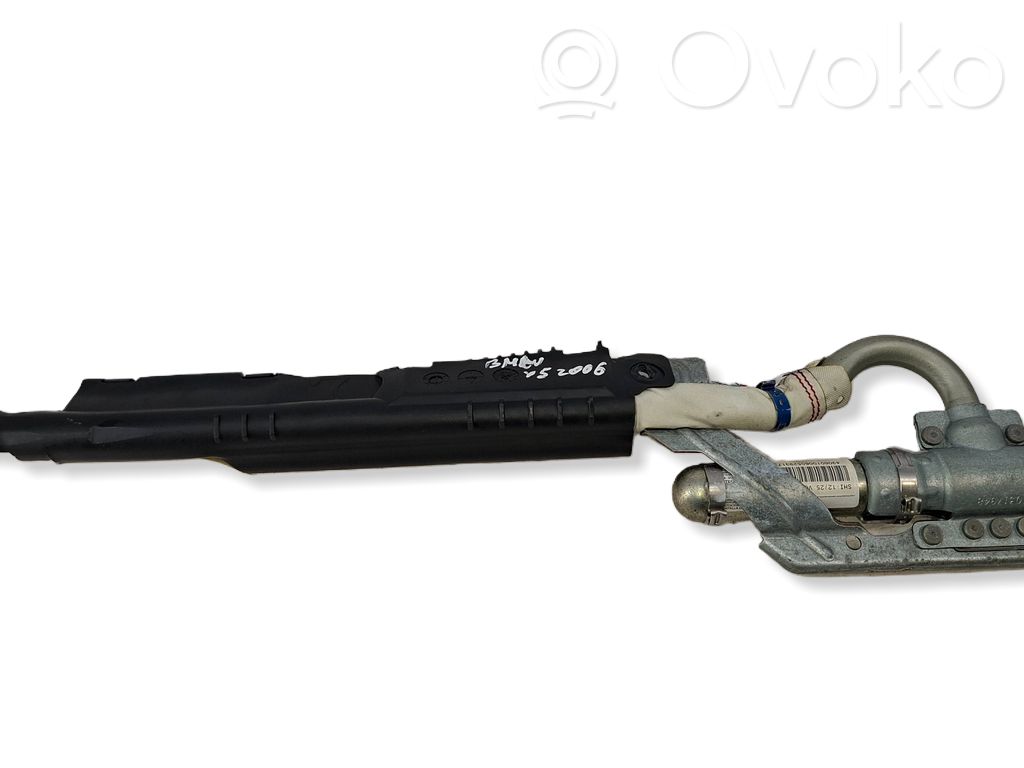 BMW X5 E53 Airbag del techo 
