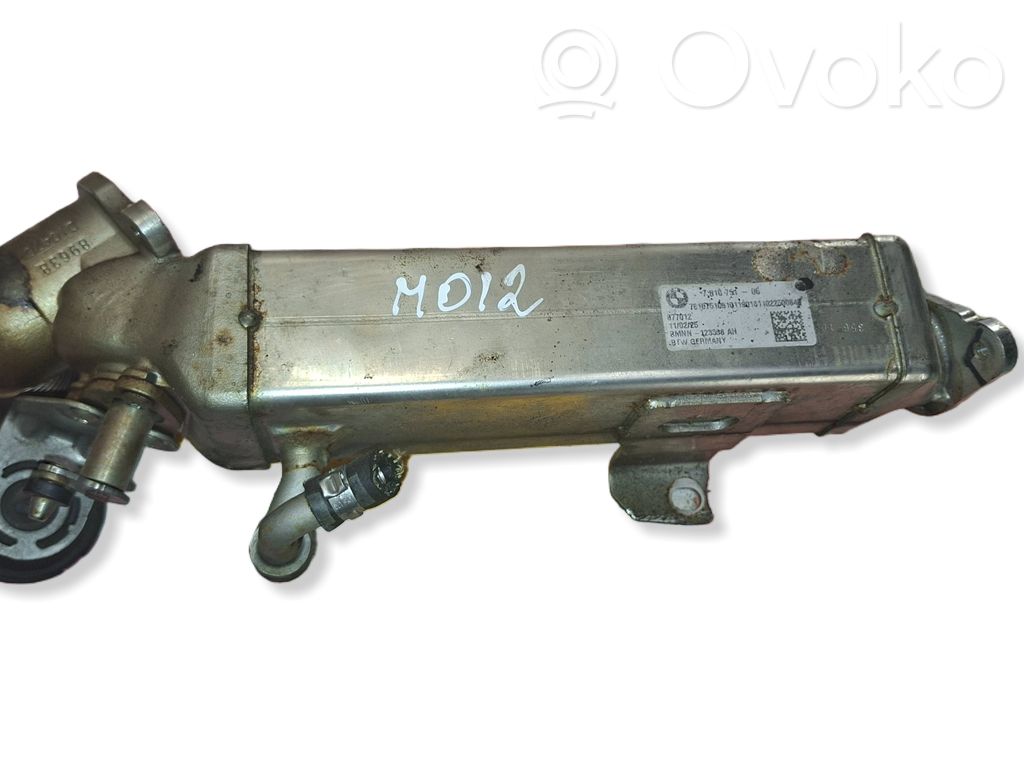 BMW 5 F10 F11 EGR dzesētājs 