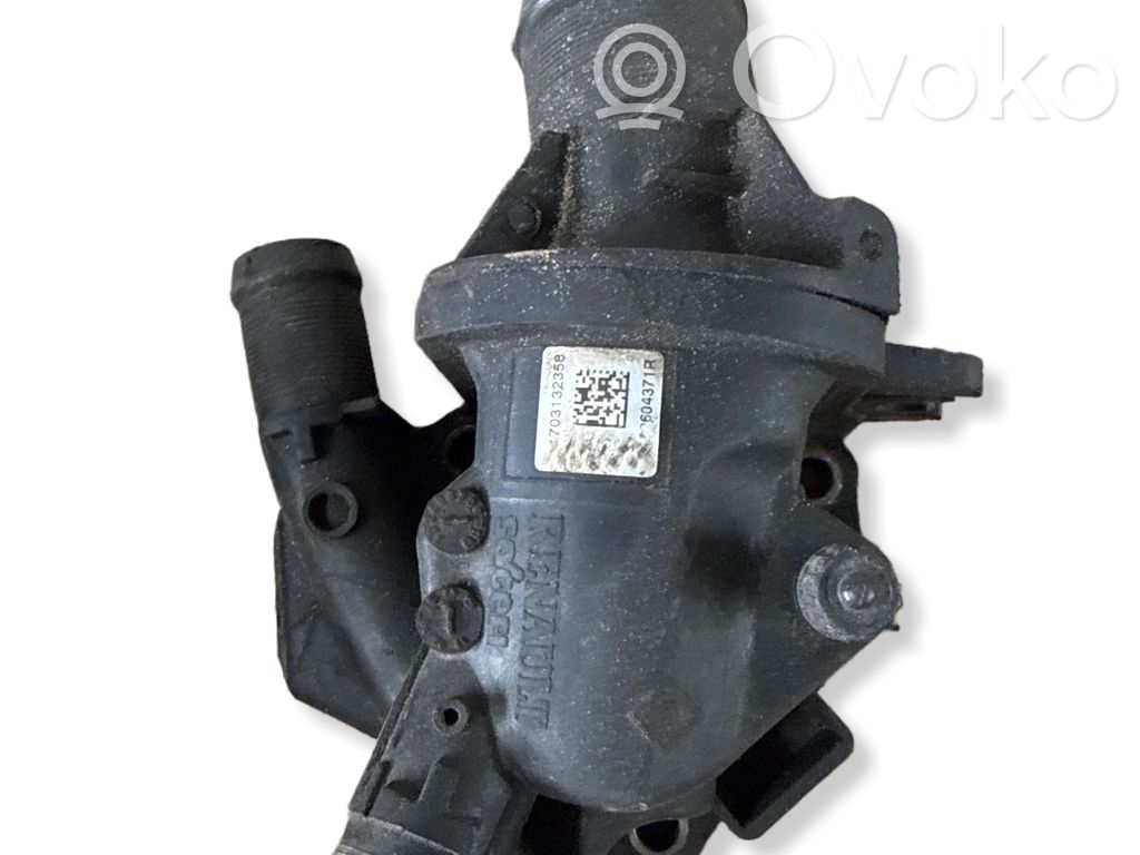Termostaatti   110604371R