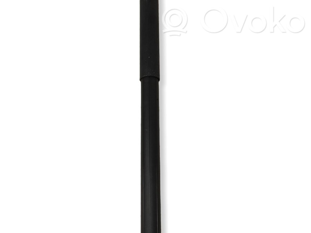 Tesla Model S Tailgate/trunk strut/damper 