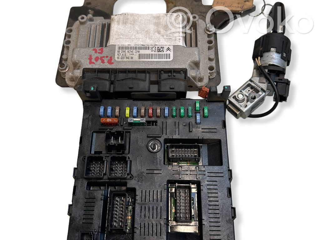 Engine control unit/module   9663394680