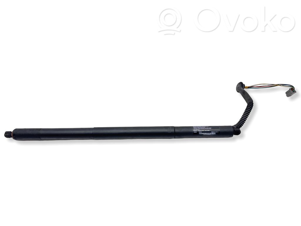 Tesla Model S Tailgate/trunk strut/damper 