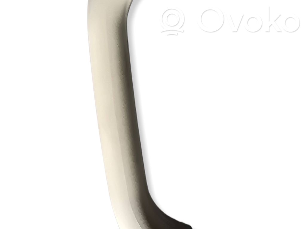 Asidero interior delantero   100013039