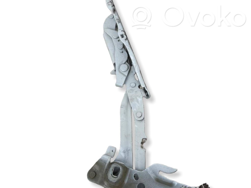Bisagras del capó/tapa del motor   8W0823302E