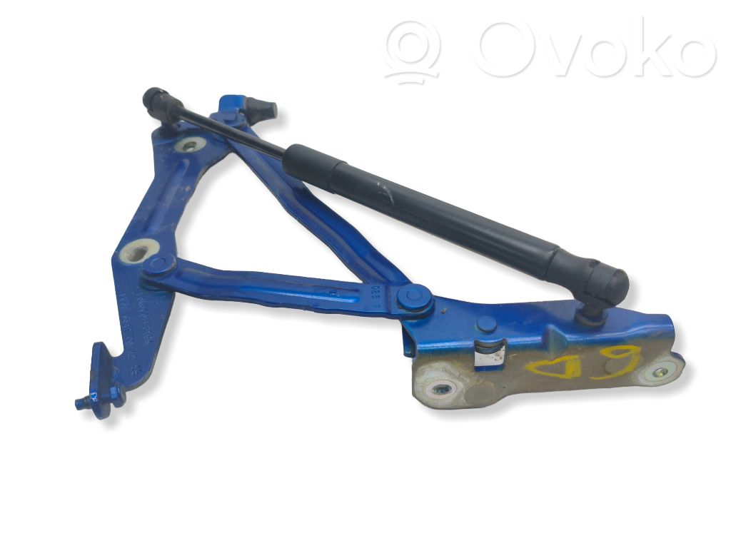 Tailgate/trunk/boot hinge   E816K