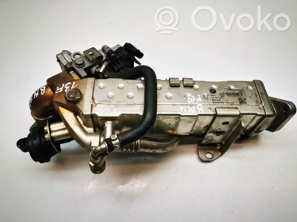 BMW 5 F10 F11 Refrigerador de la válvula EGR 