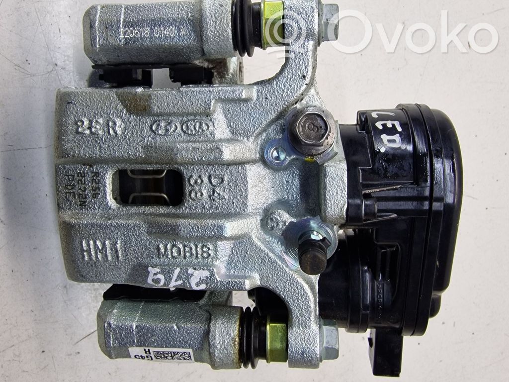 Takajarrusatula   G358237700,R256,2272N,PDE