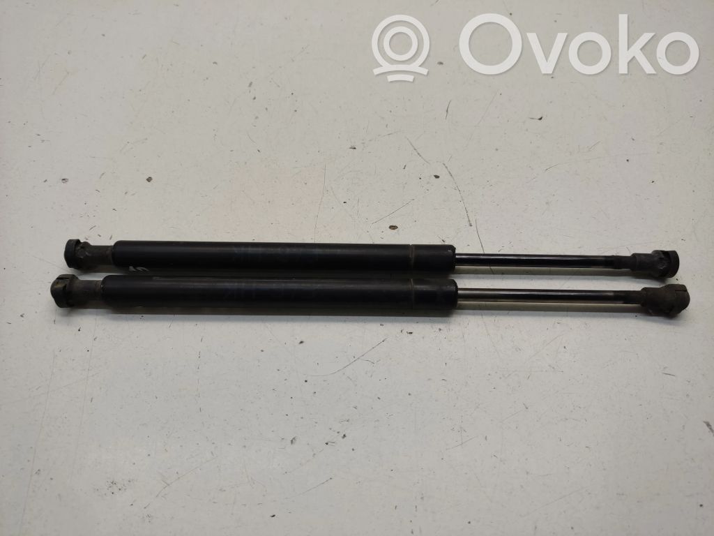 Tailgate/trunk strut/damper   8254281,51218254281