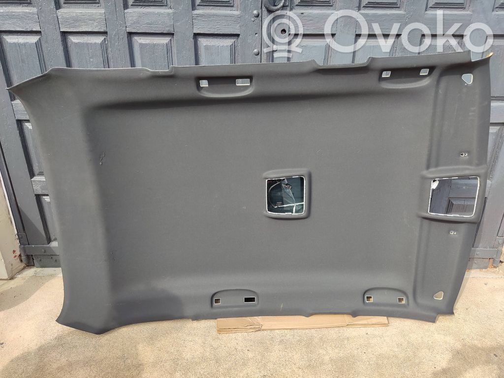 BMW X1 E84 Headlining 