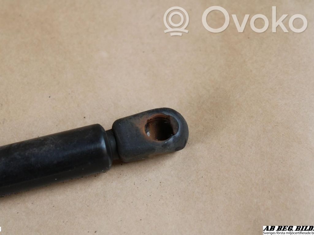 Ford Focus Tailgate strut 