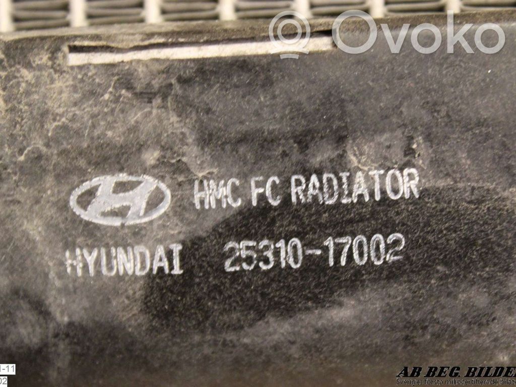 Dzesēšanas šķidruma radiators   2531017002