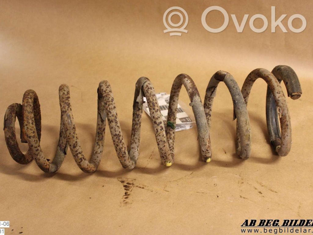 Rear coil spring