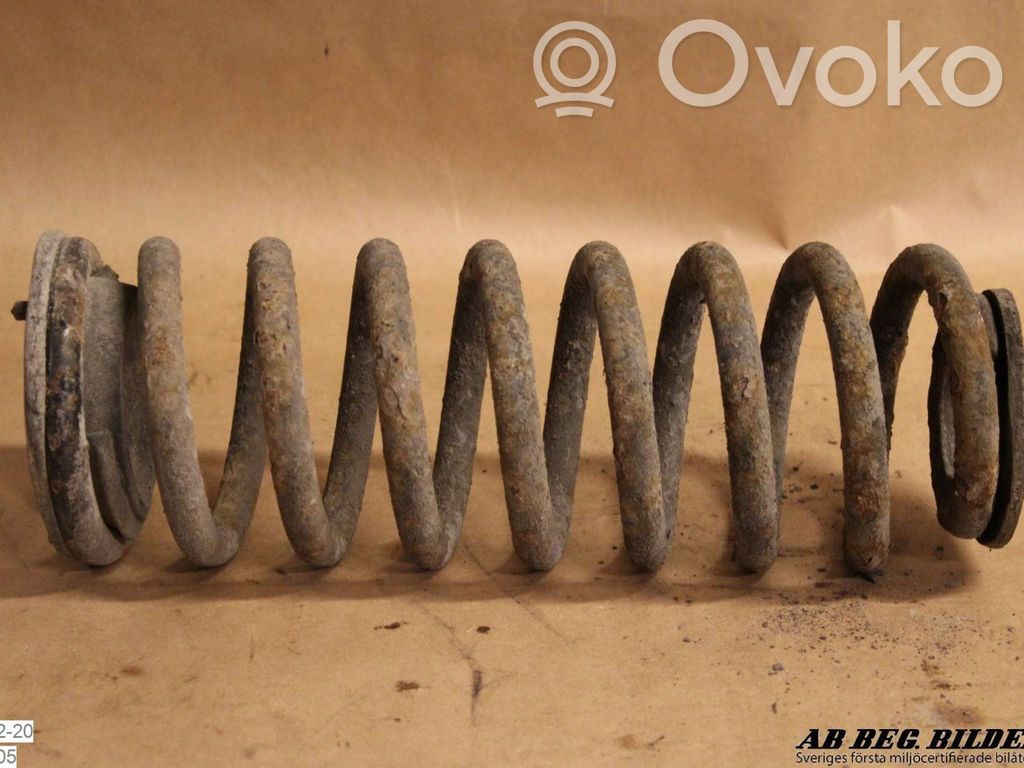 Rear coil spring