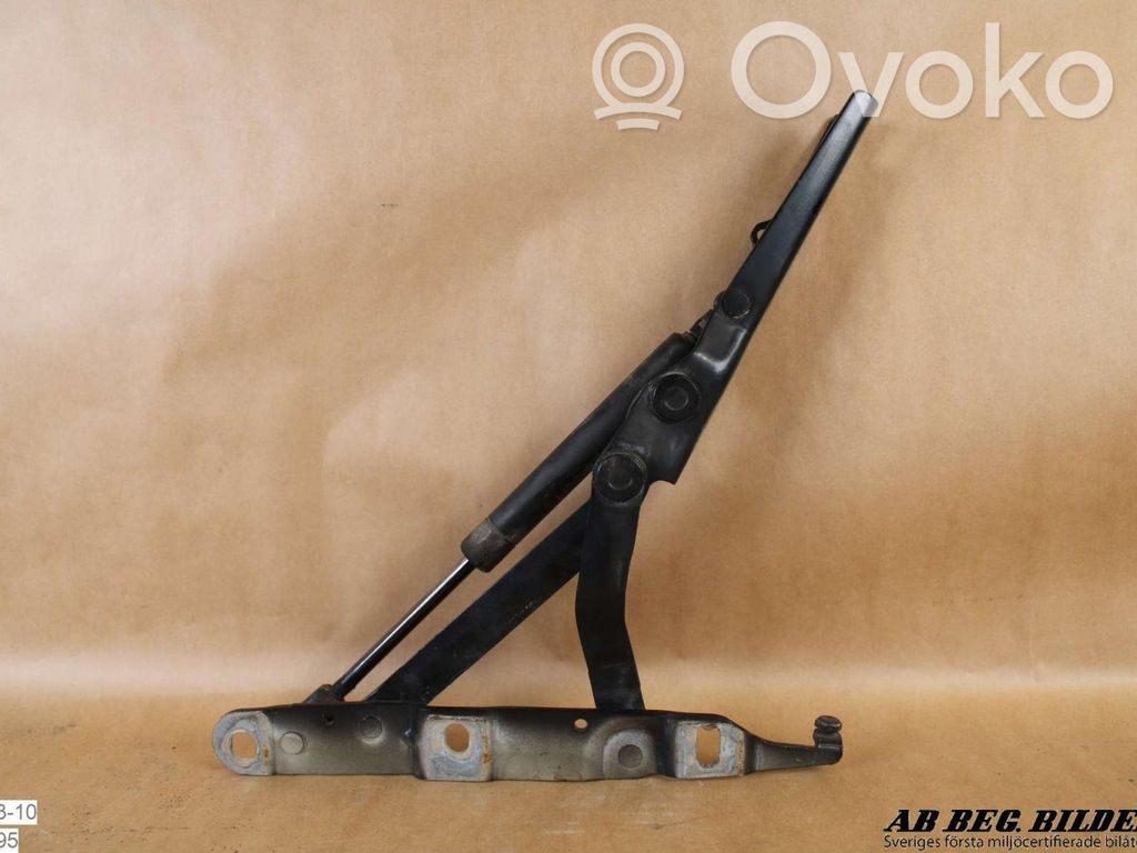 Tailgate/trunk/boot hinge   5117015