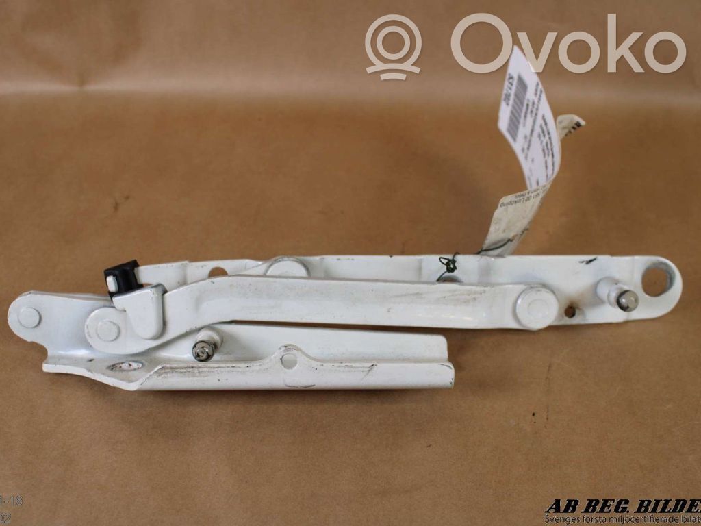 Tailgate/trunk/boot hinge