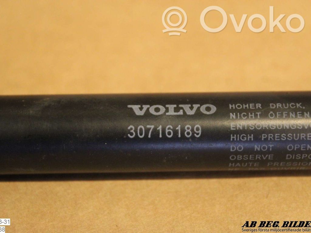 Tailgate strut   30716189