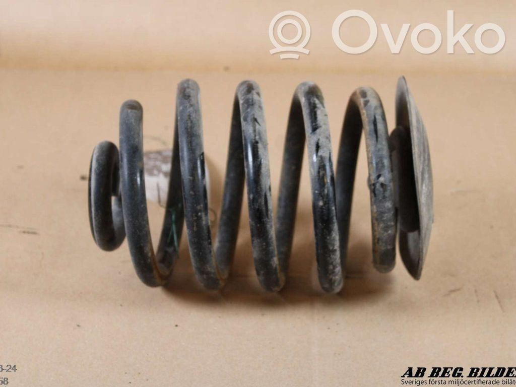 Rear coil spring
