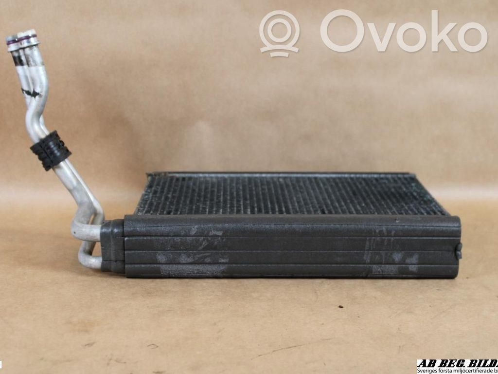 Pečiuko radiatorius   64119179802