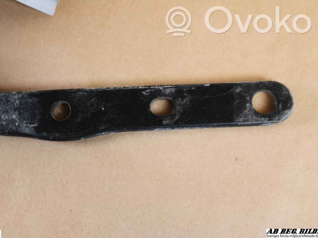 Tailgate/trunk/boot hinge   8643155