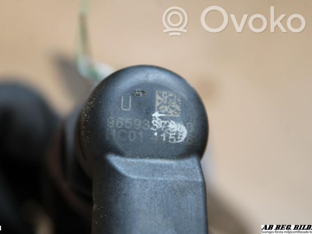 Sprausla (-i)   1980K5